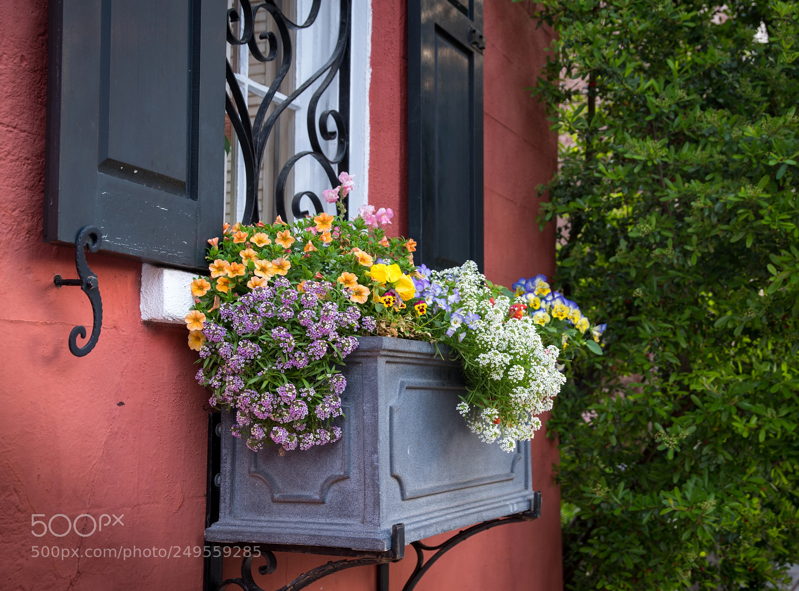 Pentax K-1 sample photo. Charleston flower box photography