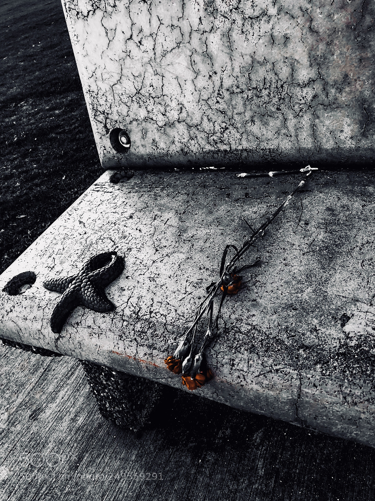 Apple iPhone X sample photo. Lost love photography