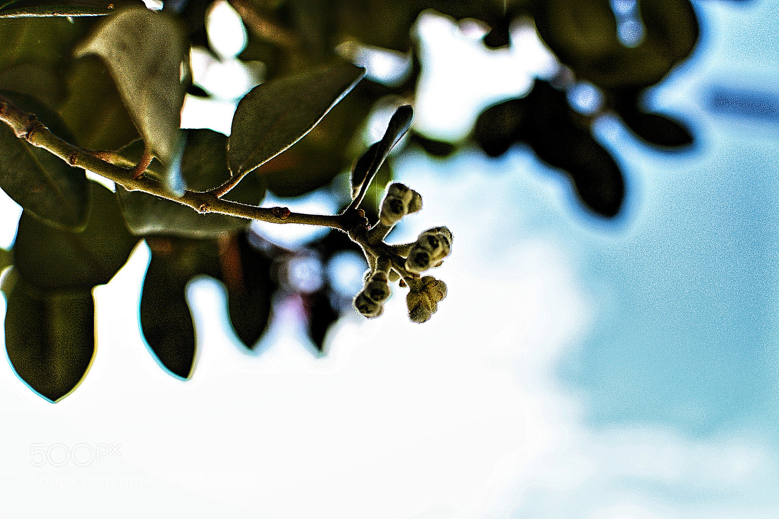 Nikon D5200 sample photo. Simple happiness photography