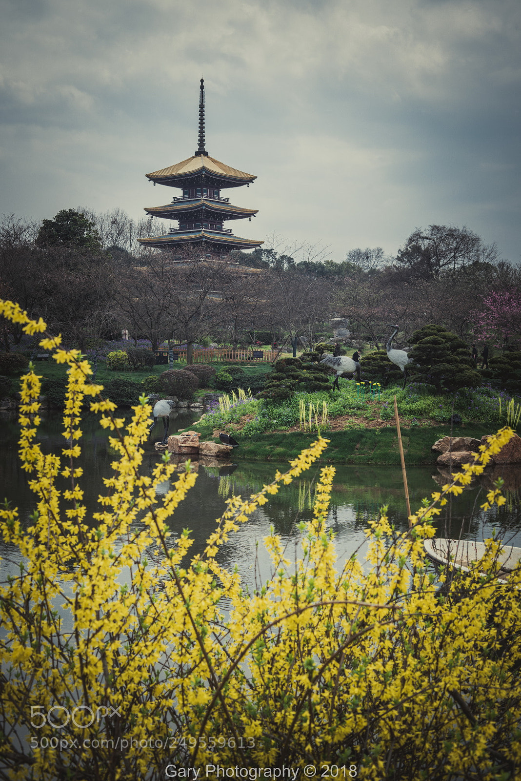 Nikon D810 sample photo. 五重塔 photography