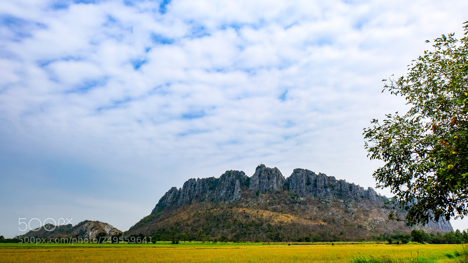 Fujifilm X-T20 sample photo. Nakhonsawan thailand photography