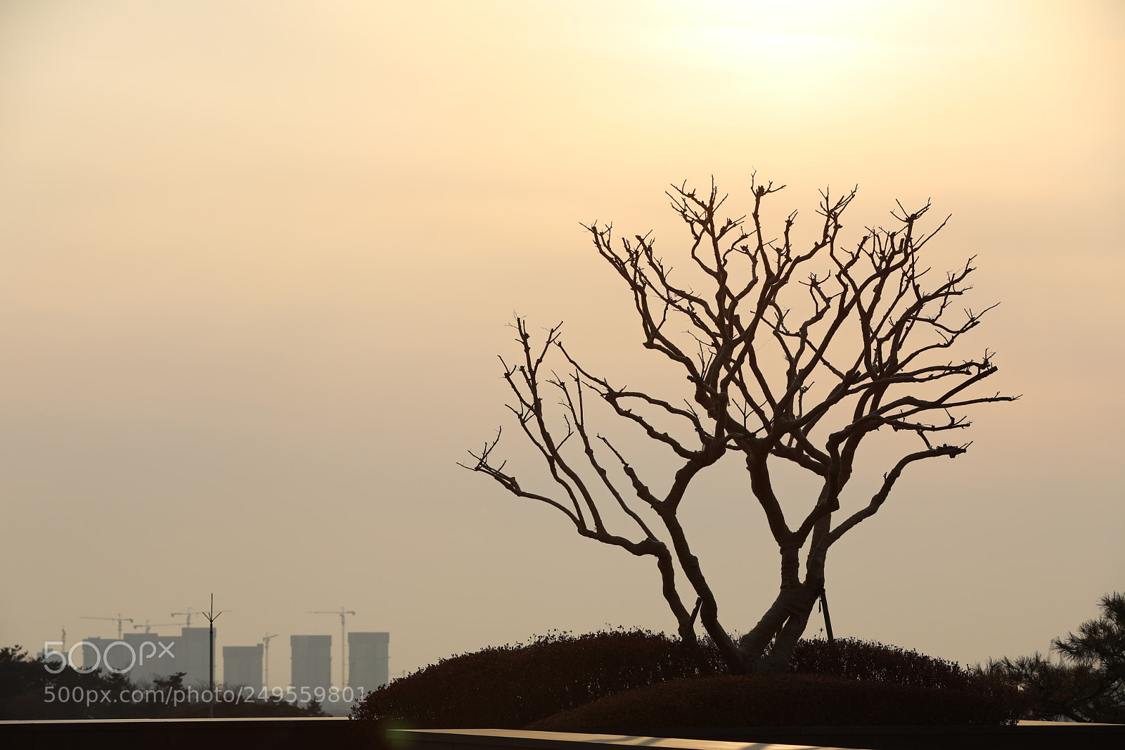 Canon EF 70-200mm F2.8L IS II USM sample photo. Untitled photography
