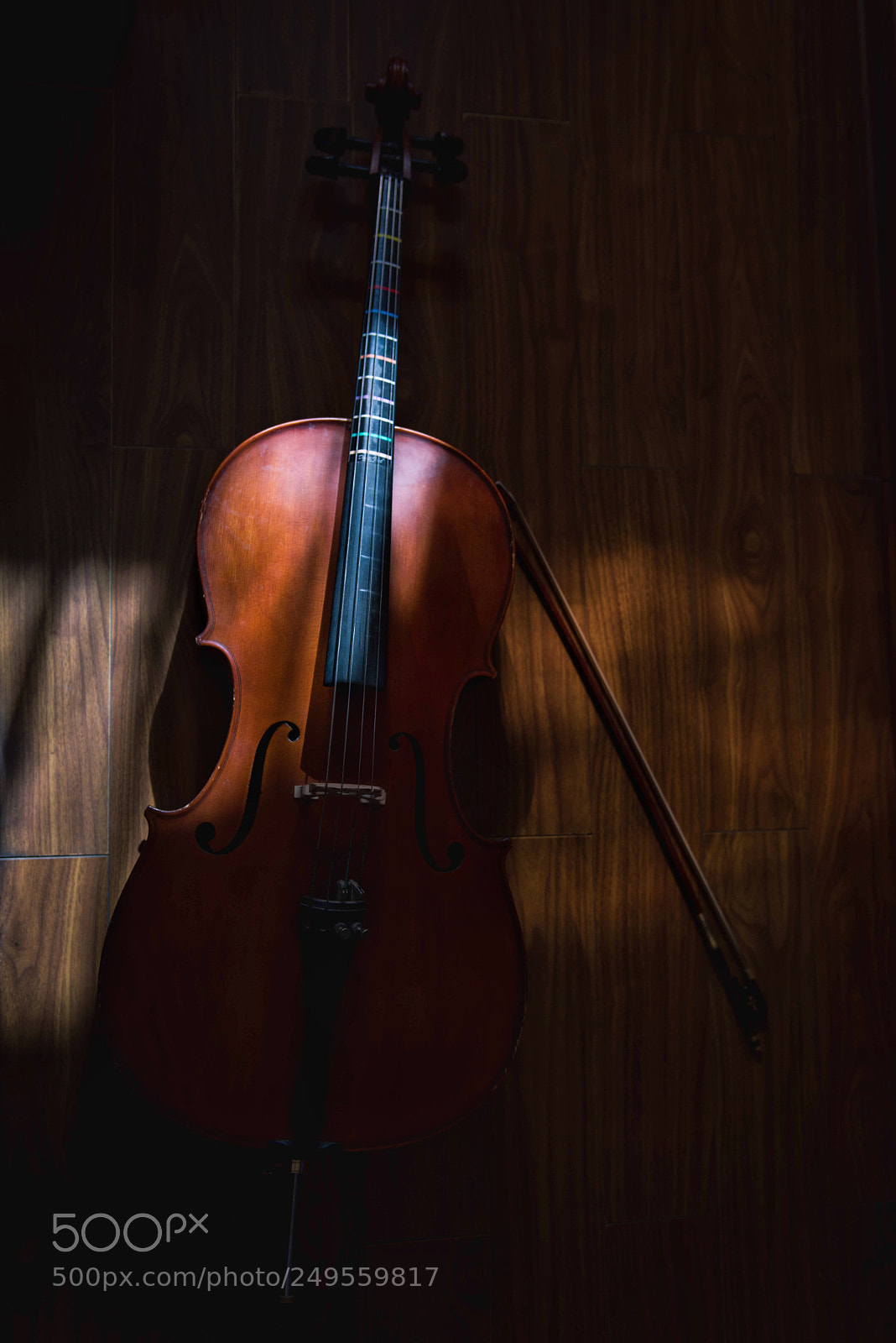 Nikon D810 sample photo. Cello photography
