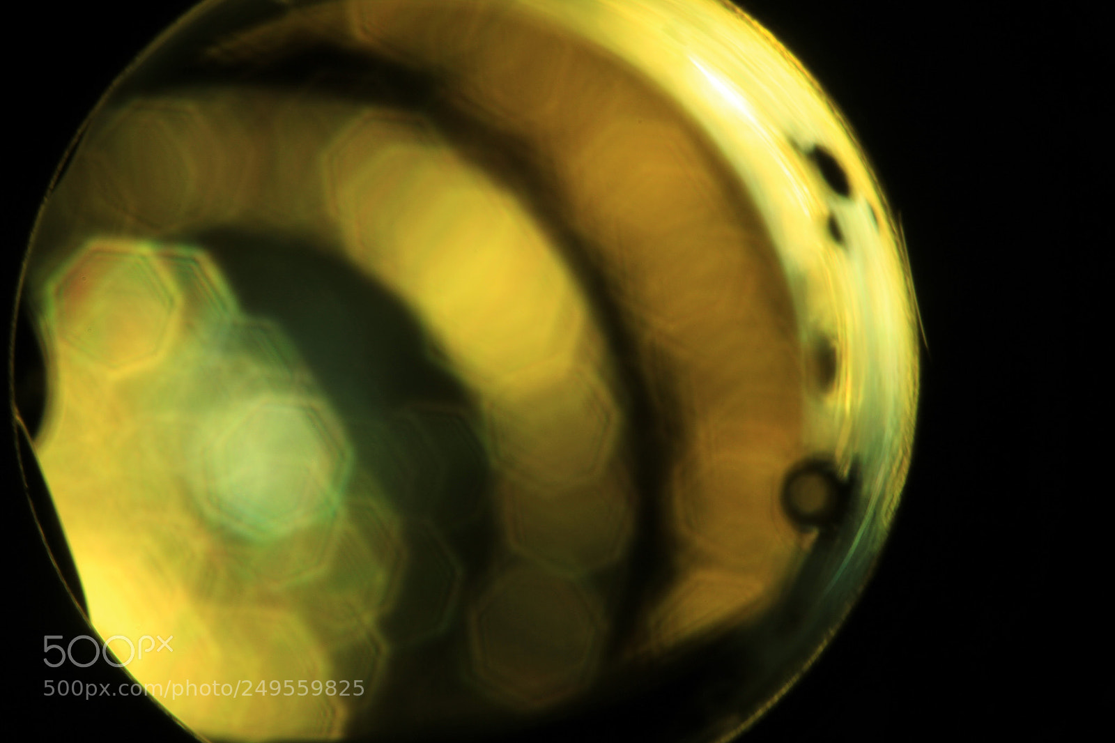 Canon EOS 7D sample photo. Wine bottle photography
