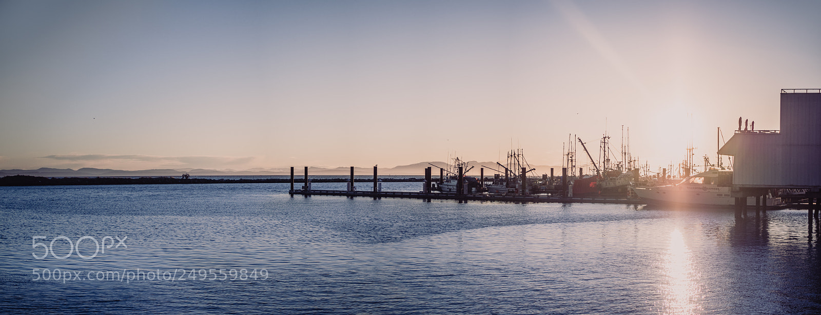 Olympus OM-D E-M5 II sample photo. Harbor sunset ii photography