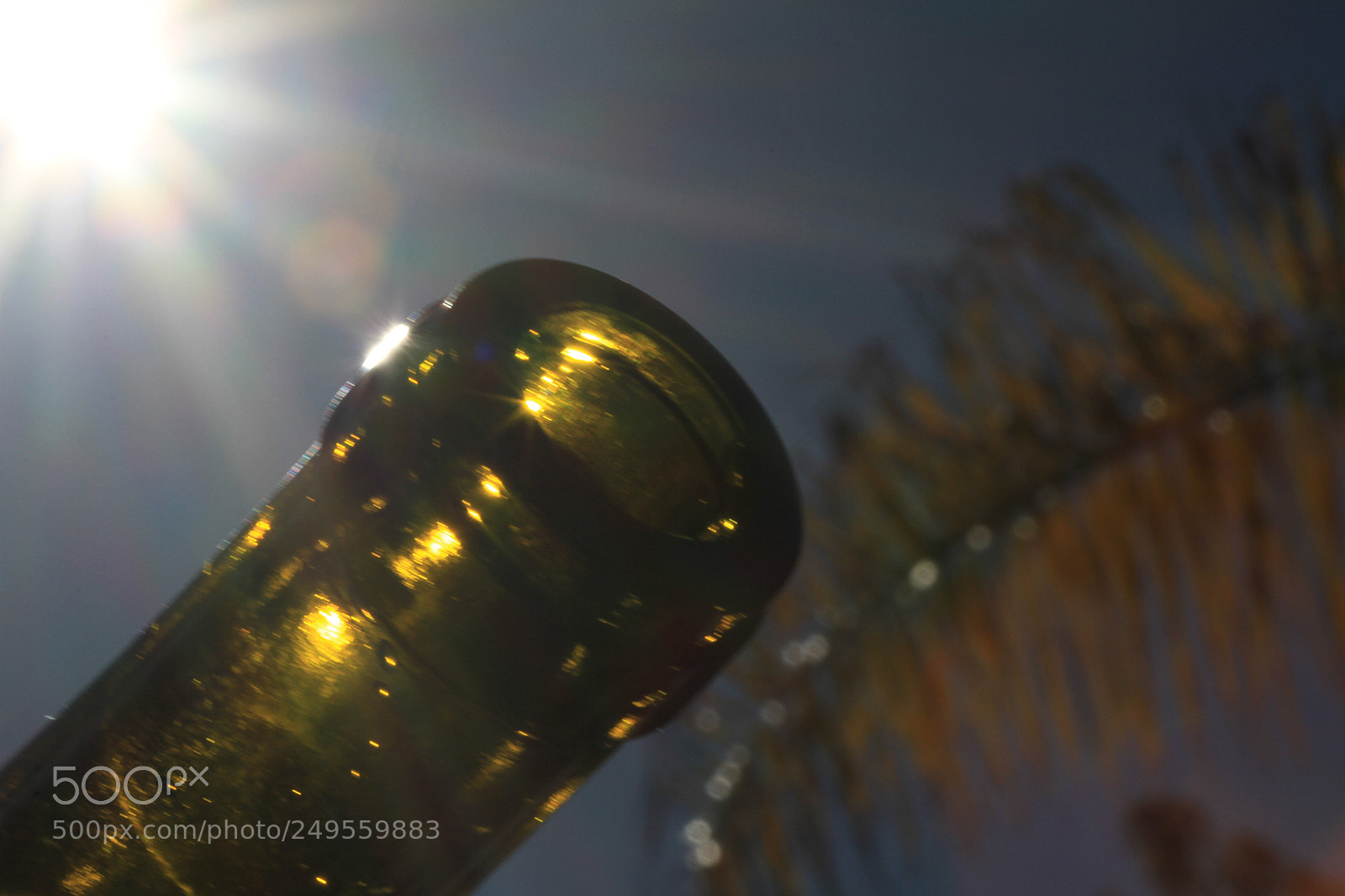 Canon EOS 7D sample photo. Wine bottle photography