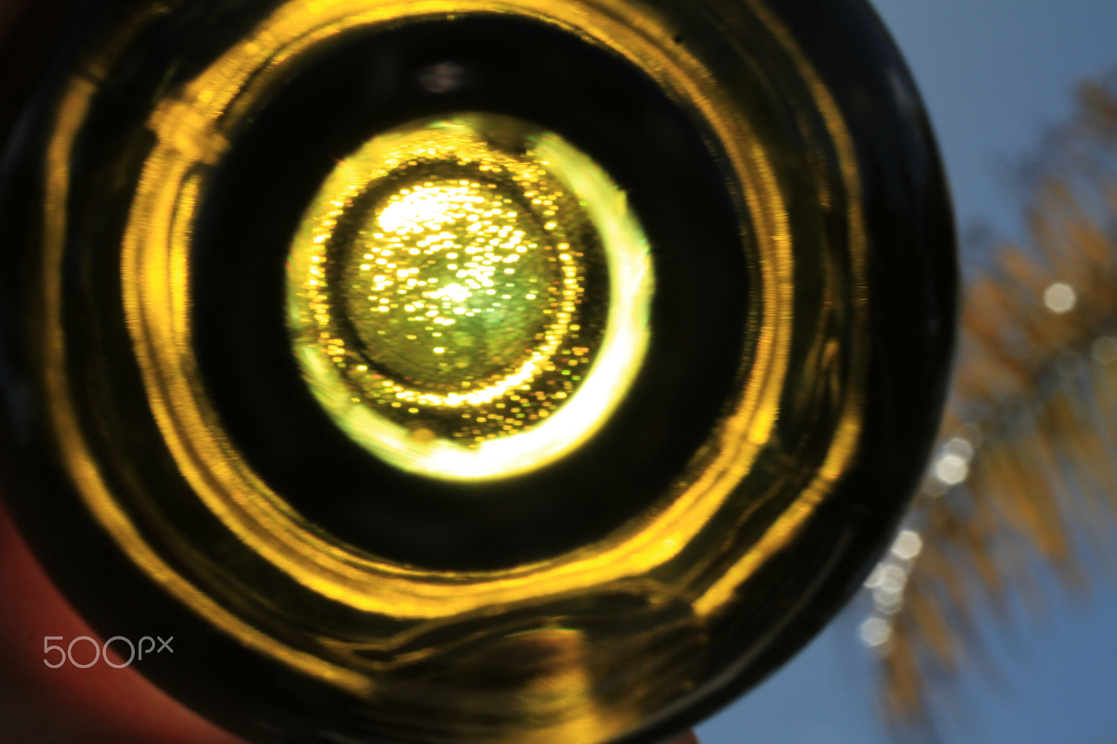 Canon EF-S 60mm F2.8 Macro USM sample photo. Wine bottle photography