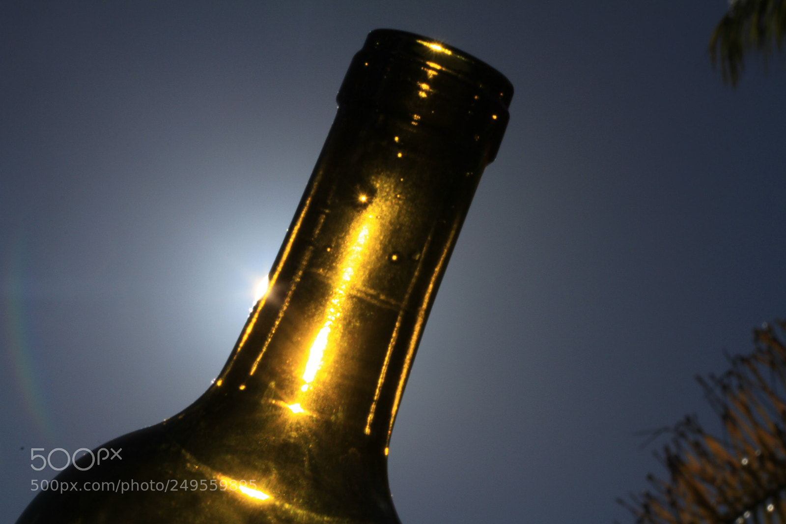 Canon EOS 7D sample photo. Wine bottle photography