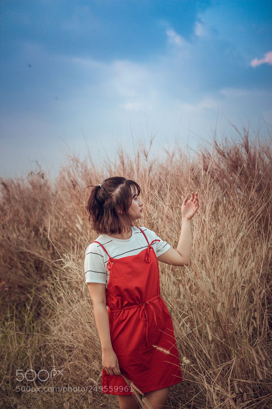 Canon EOS 60D sample photo. Shi photography