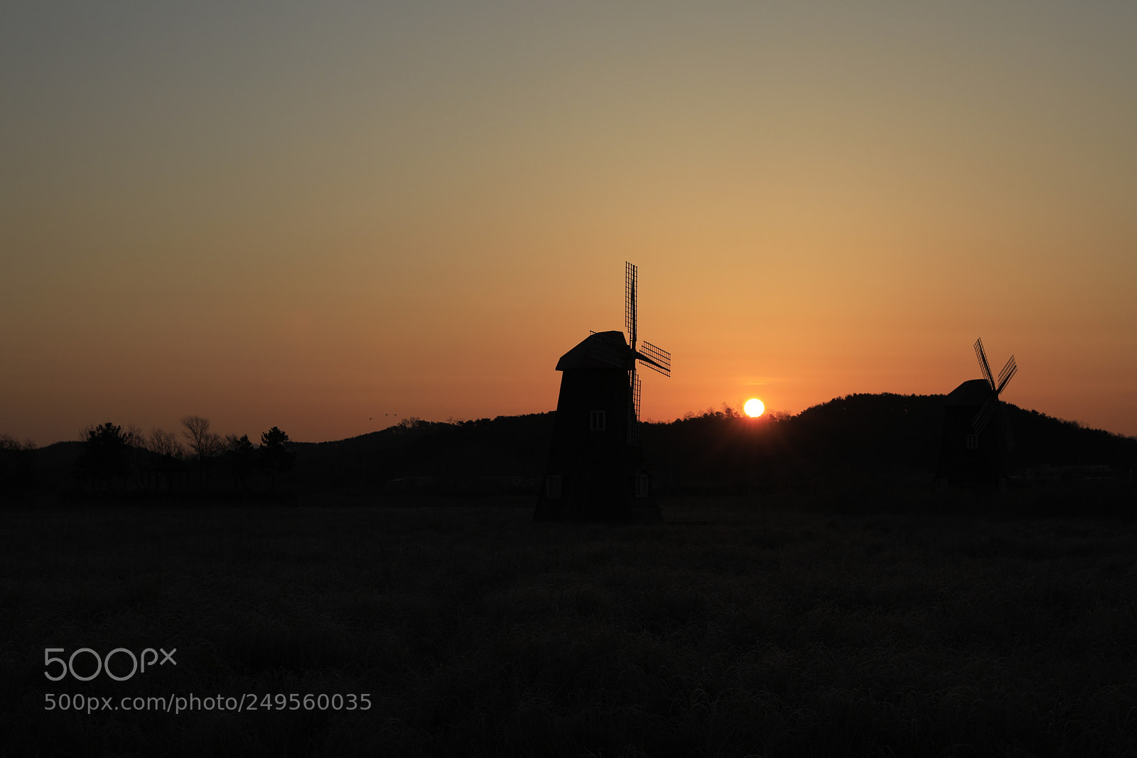 Canon EF 24-70mm F2.8L II USM sample photo. Untitled photography