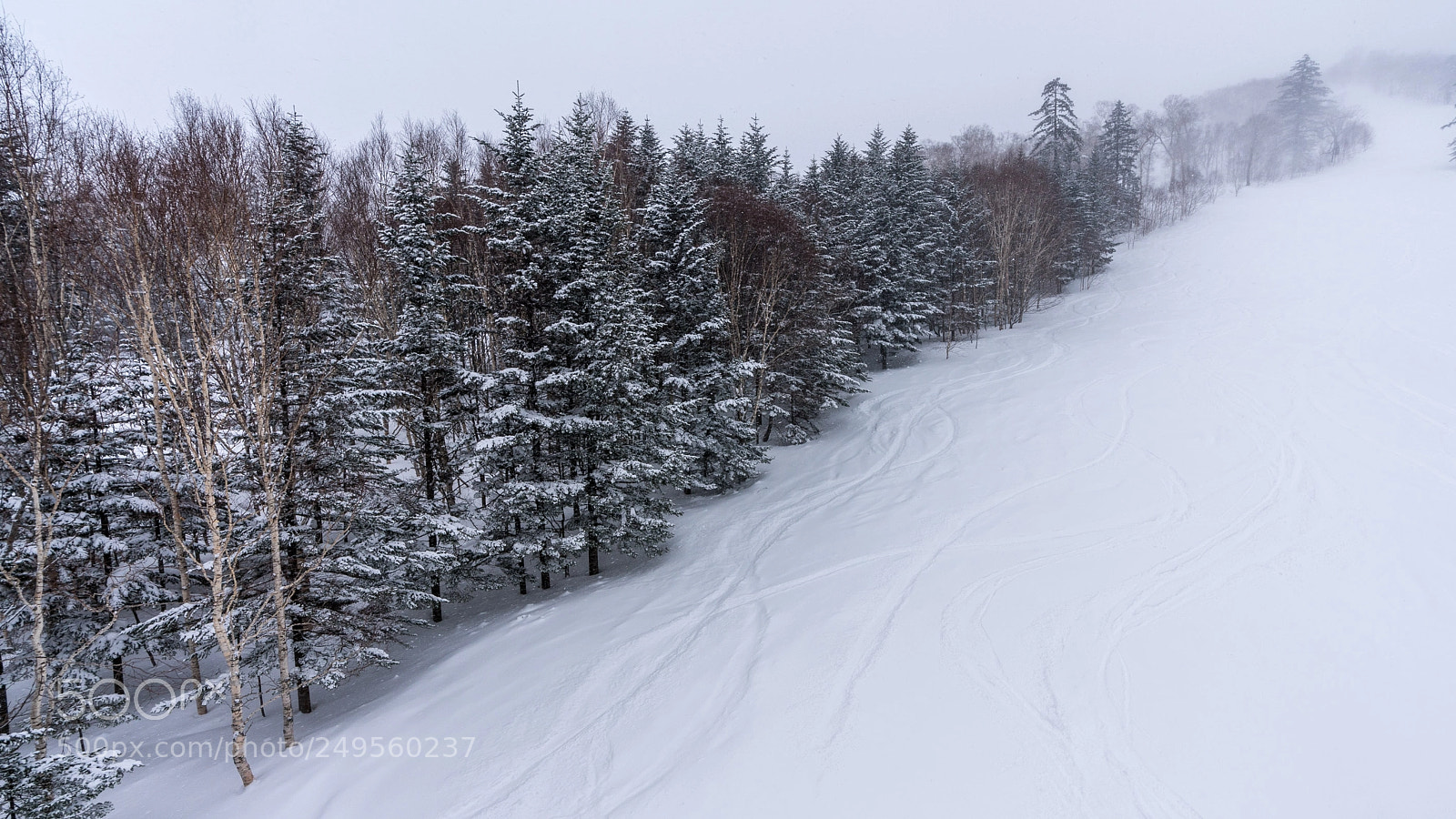 Sony a7R III sample photo. Ski slope of tomamu photography