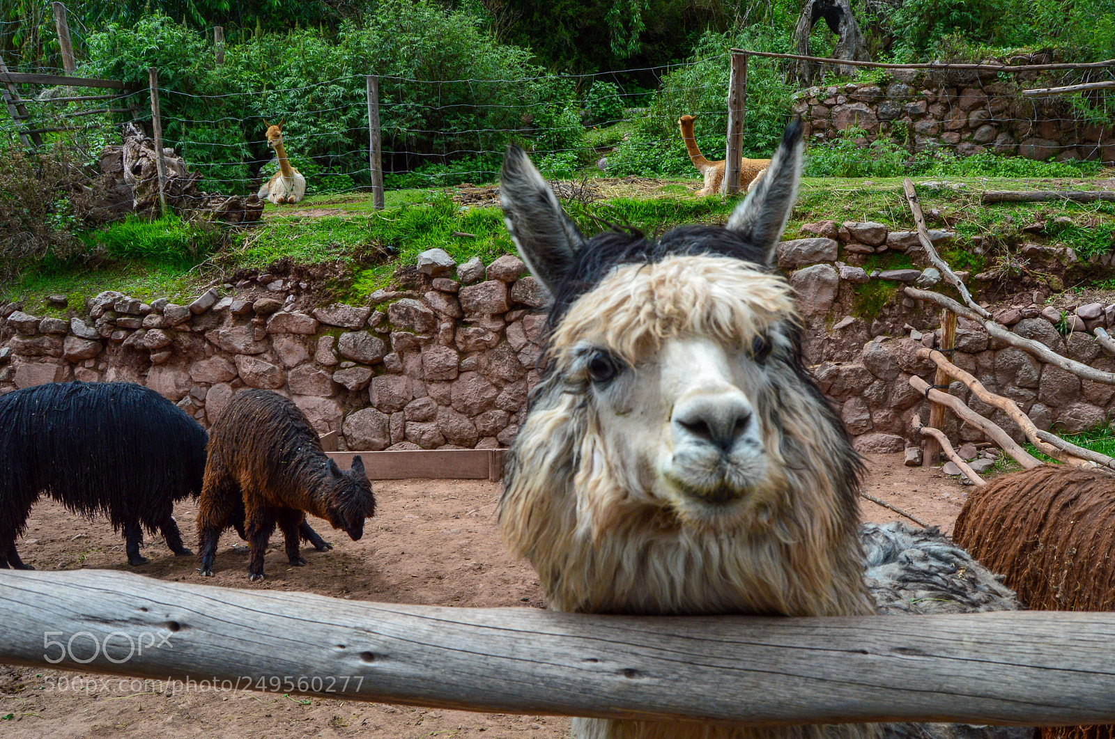 Nikon D3200 sample photo. Peru photography