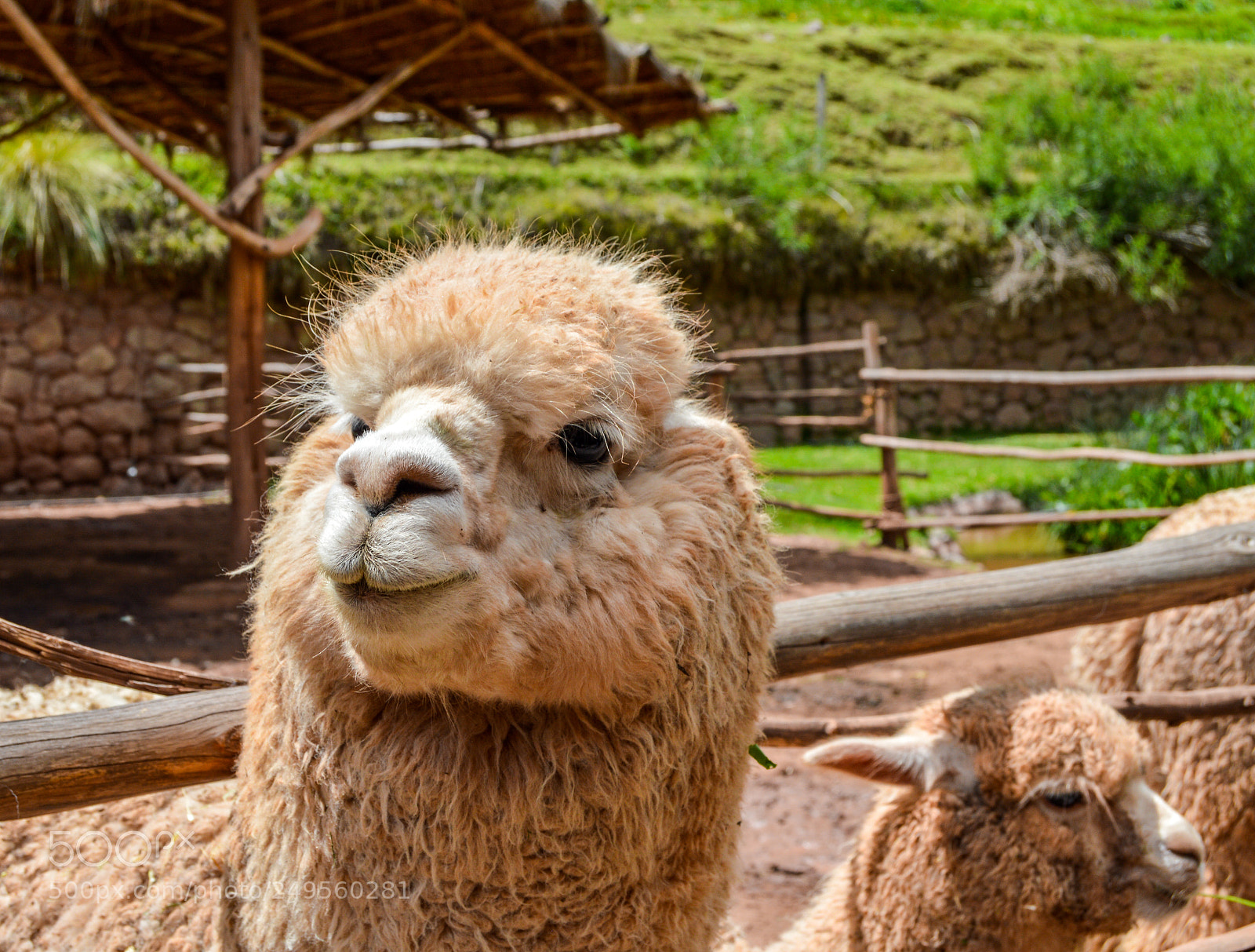 Nikon D3200 sample photo. Peru photography
