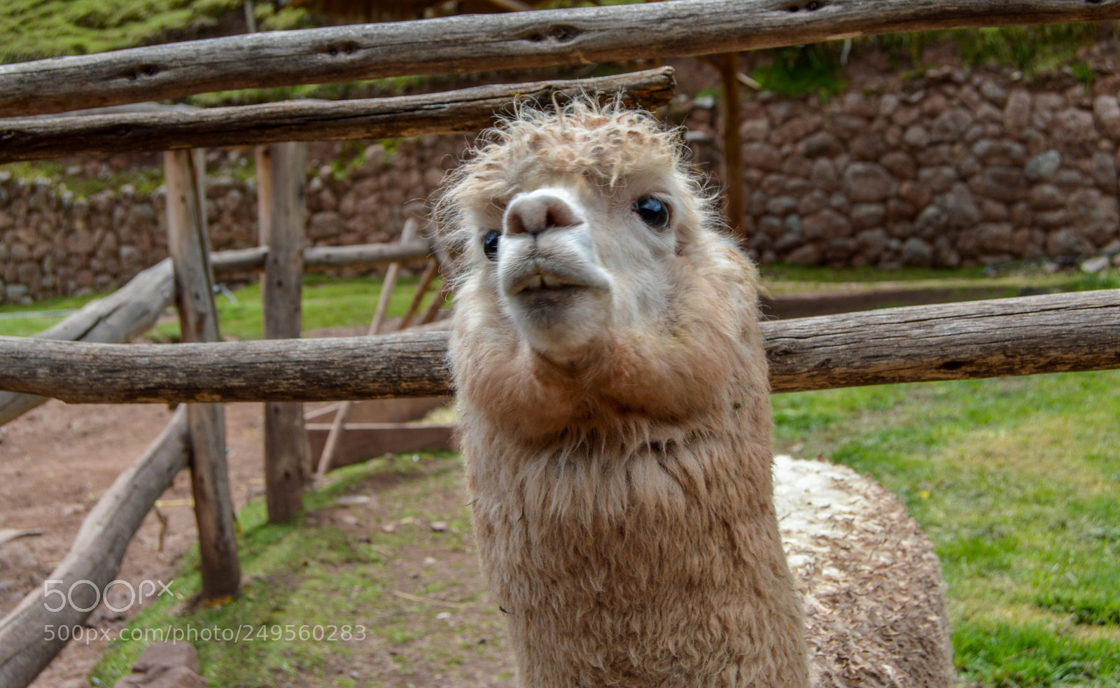Nikon D3200 sample photo. Peru photography