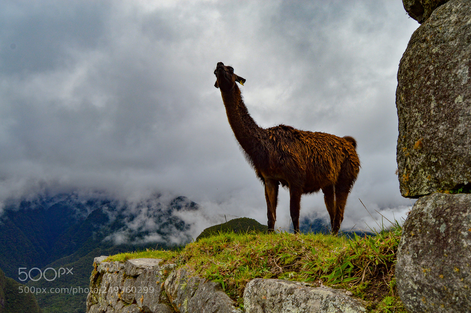 Nikon D3200 sample photo. Peru photography