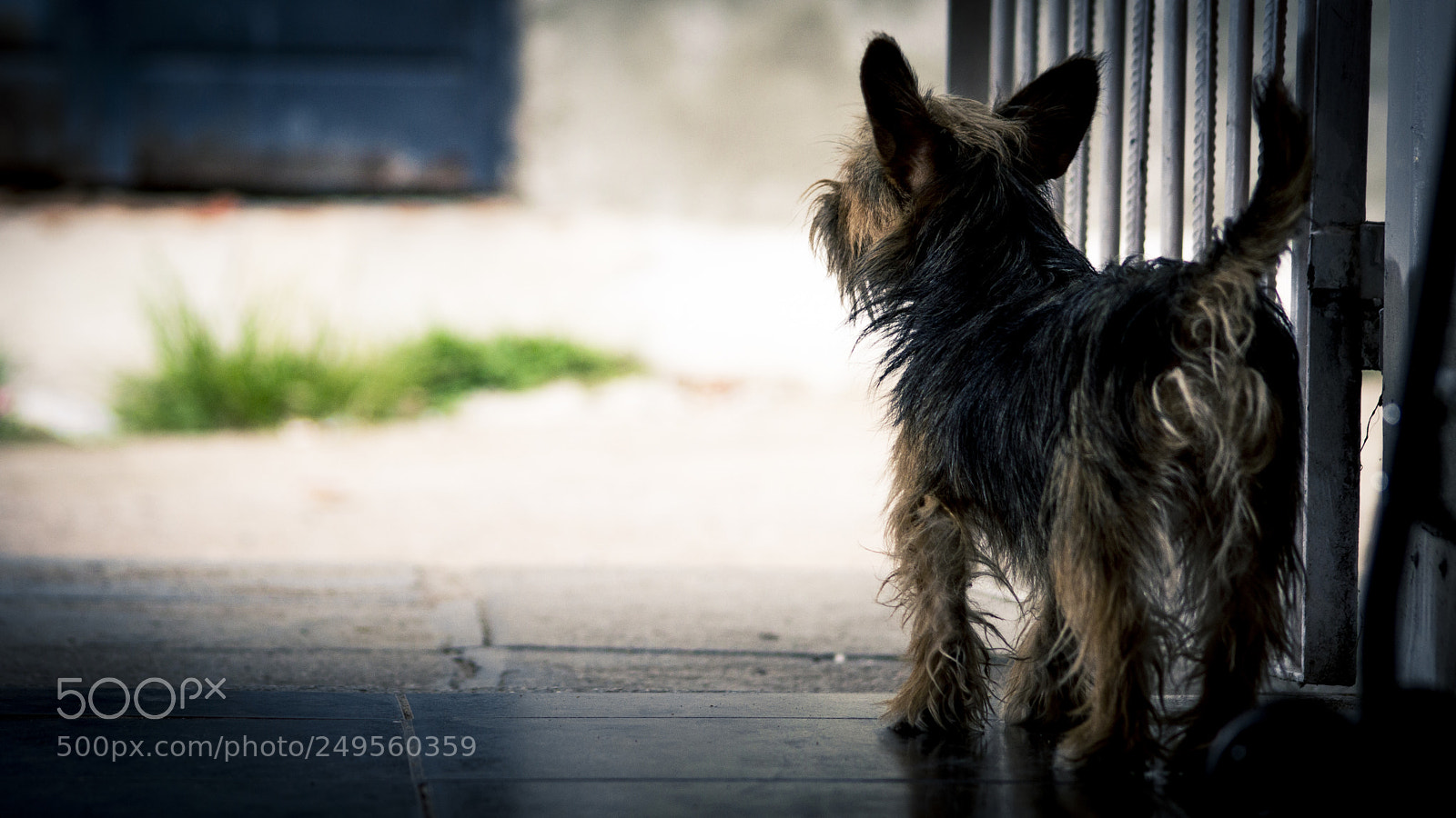 Nikon D3200 sample photo. Guardian´s photography