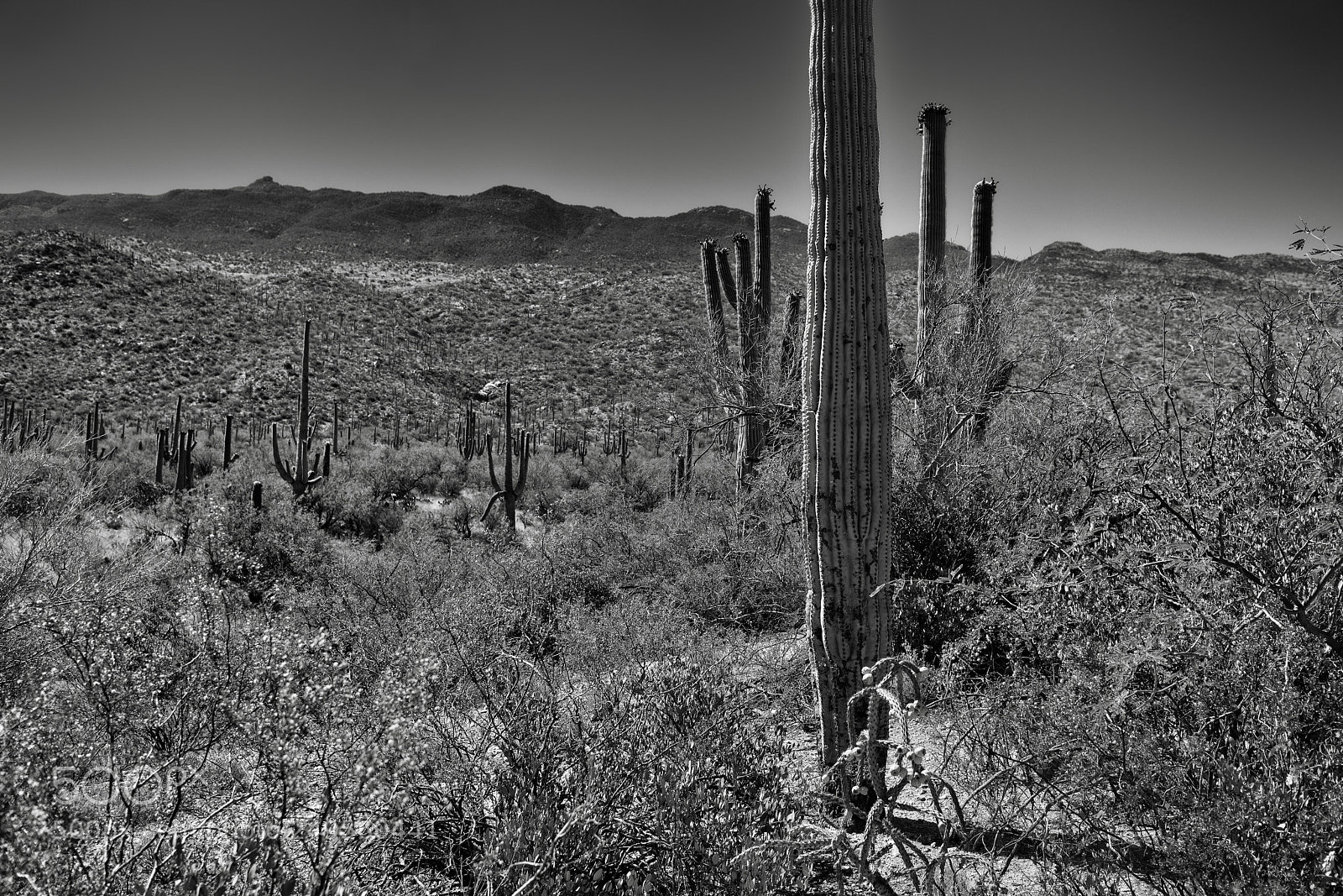 Nikon D800E sample photo. Views taken while walking photography