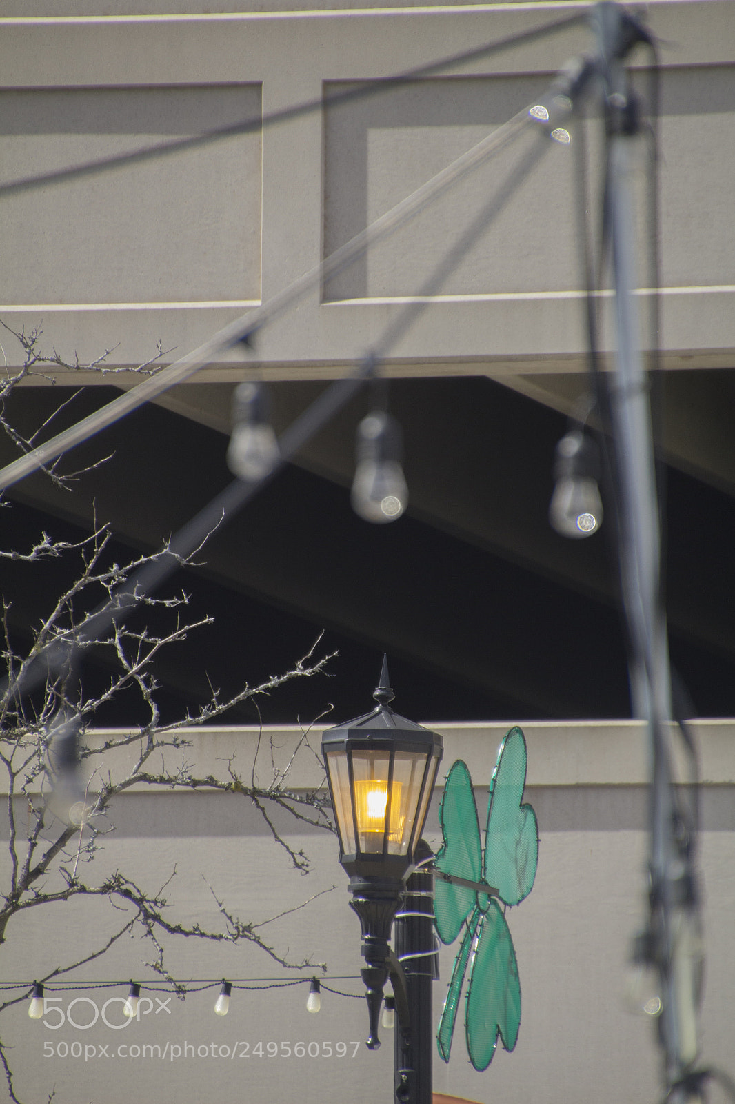 Canon EOS 1200D (EOS Rebel T5 / EOS Kiss X70 / EOS Hi) sample photo. Happy saint patrick's day. photography