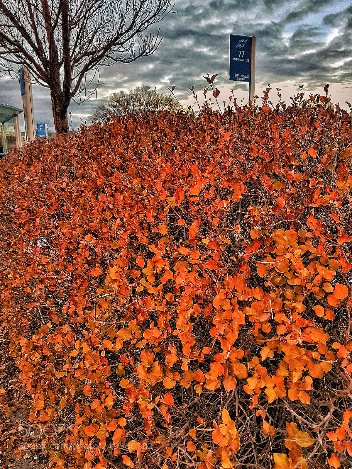Samsung Galaxy S7 Edge sample photo. Dark clouds photography