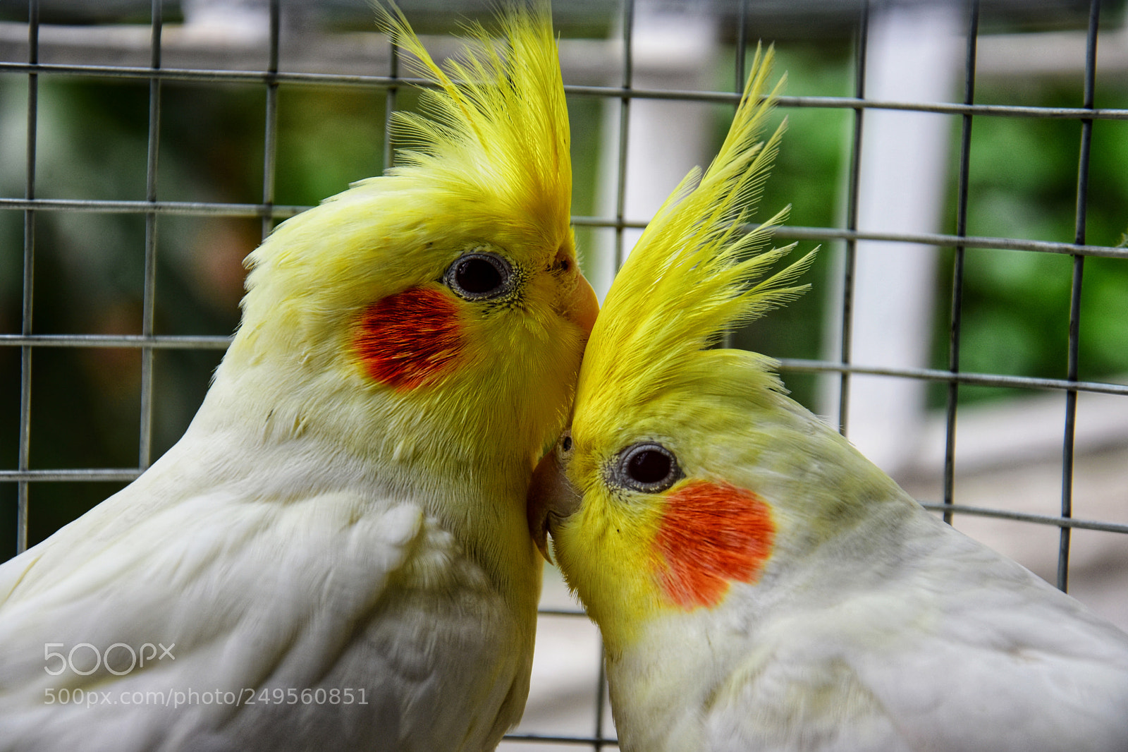 Nikon D7200 sample photo. Untitled photography