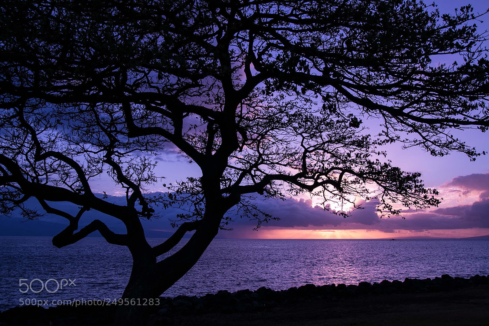 Canon EOS 70D sample photo. Sunset in maui photography
