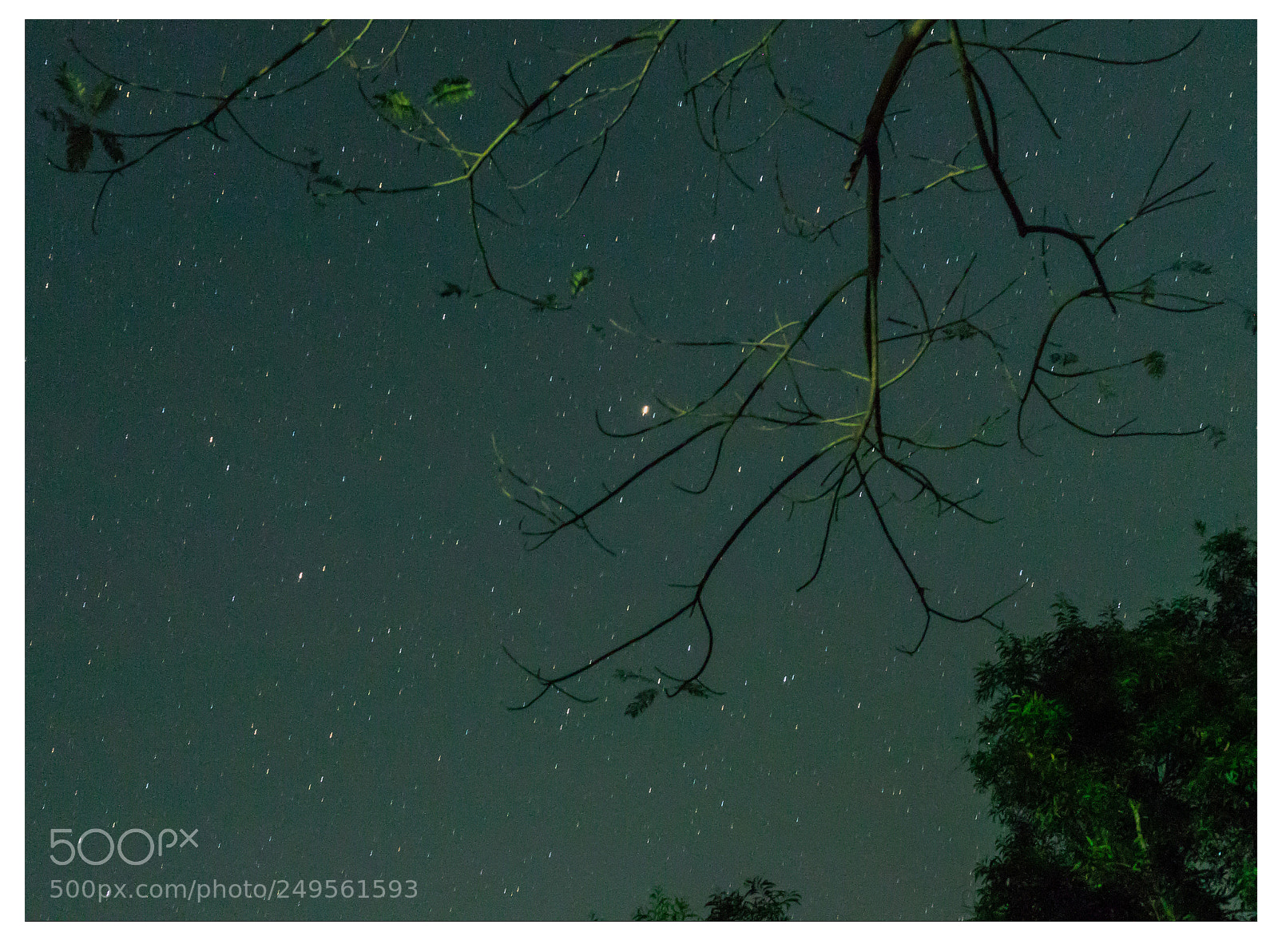 Canon EOS 6D Mark II sample photo. Stars!!! photography