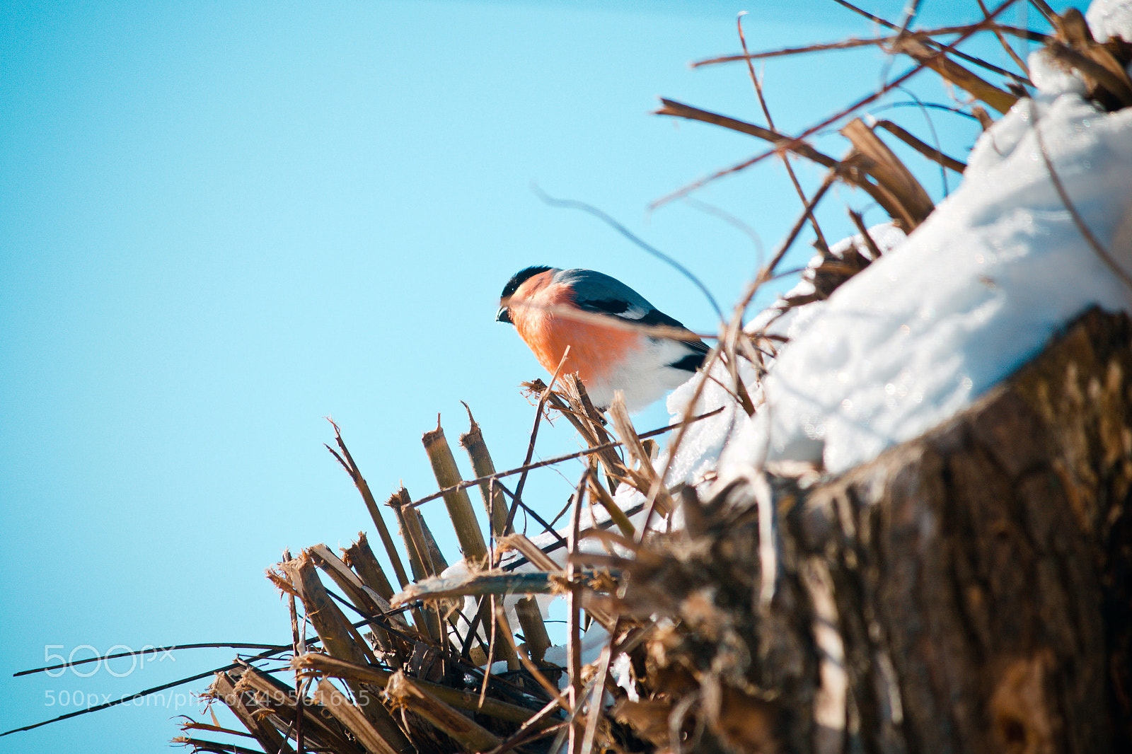 Canon EOS 70D sample photo. Weekend in the village photography