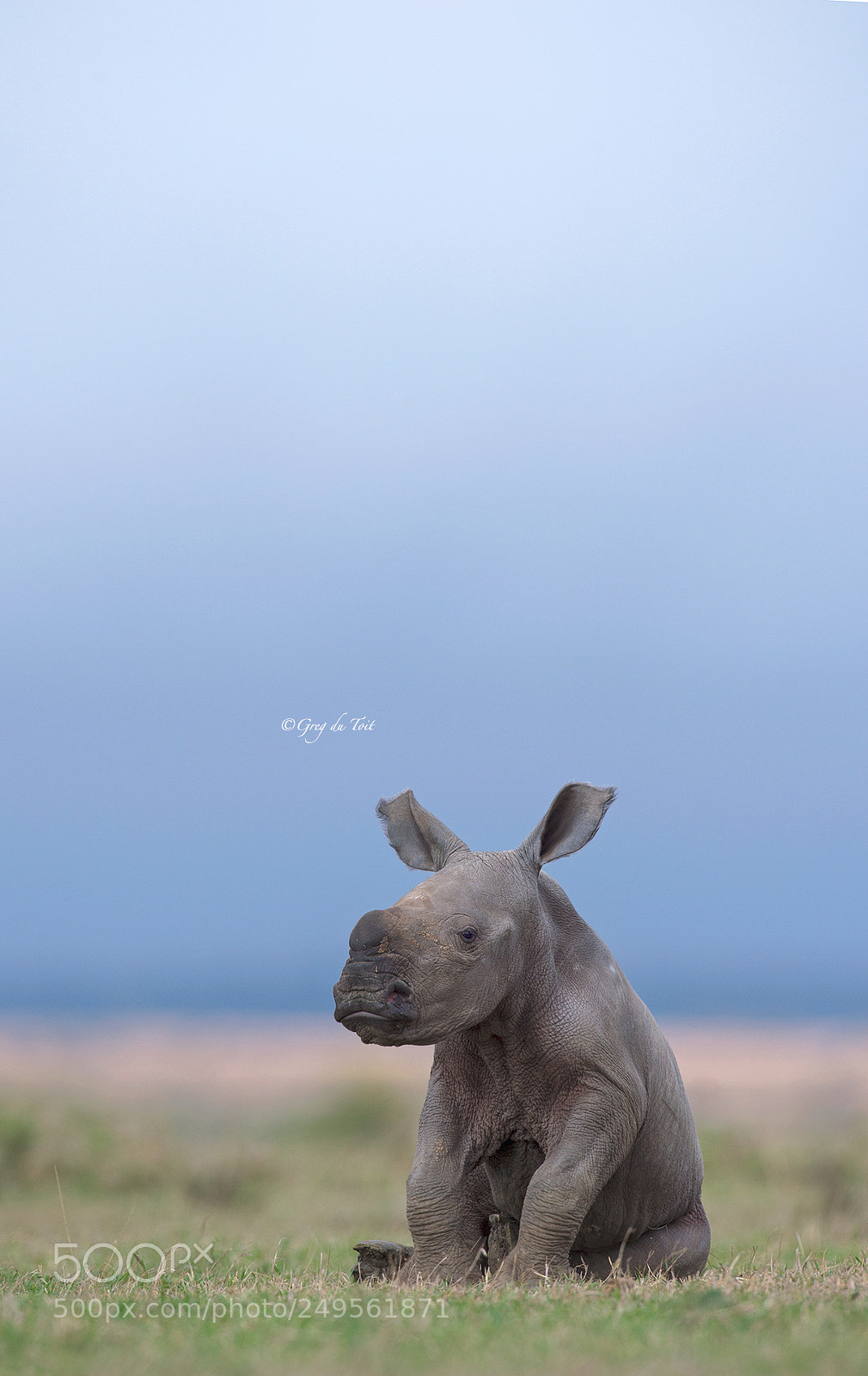 Nikon D4S sample photo. Taking a load off... photography