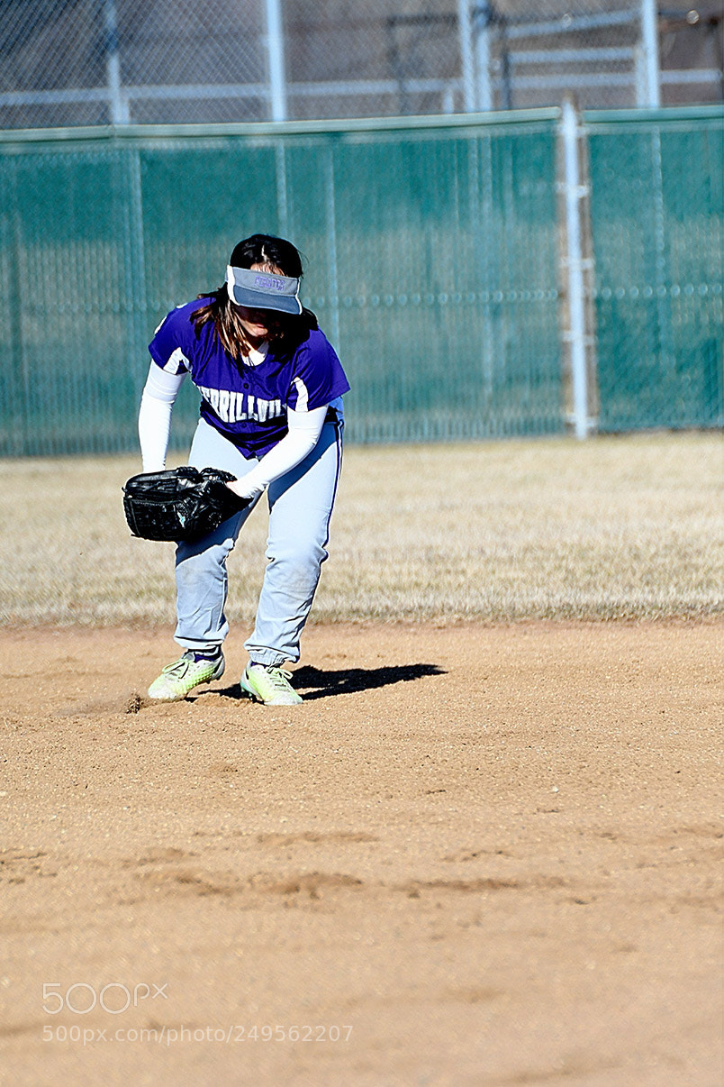 Nikon D500 sample photo. 3-14_0023.jpg photography