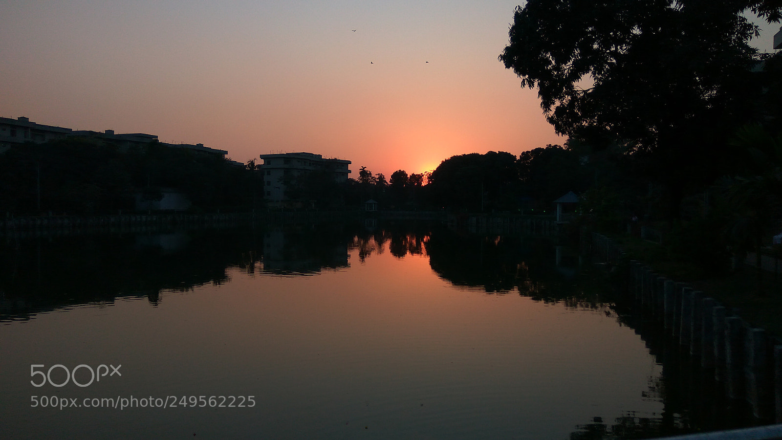 Xiaomi Redmi Note3 sample photo. Untitled photography