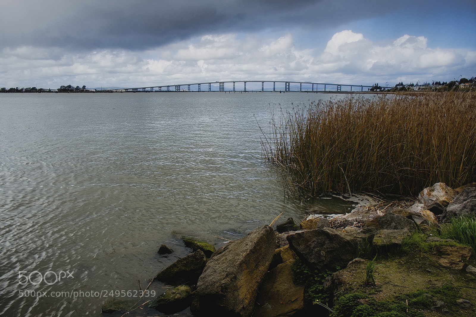 Fujifilm X-T2 sample photo. Bridge view photography