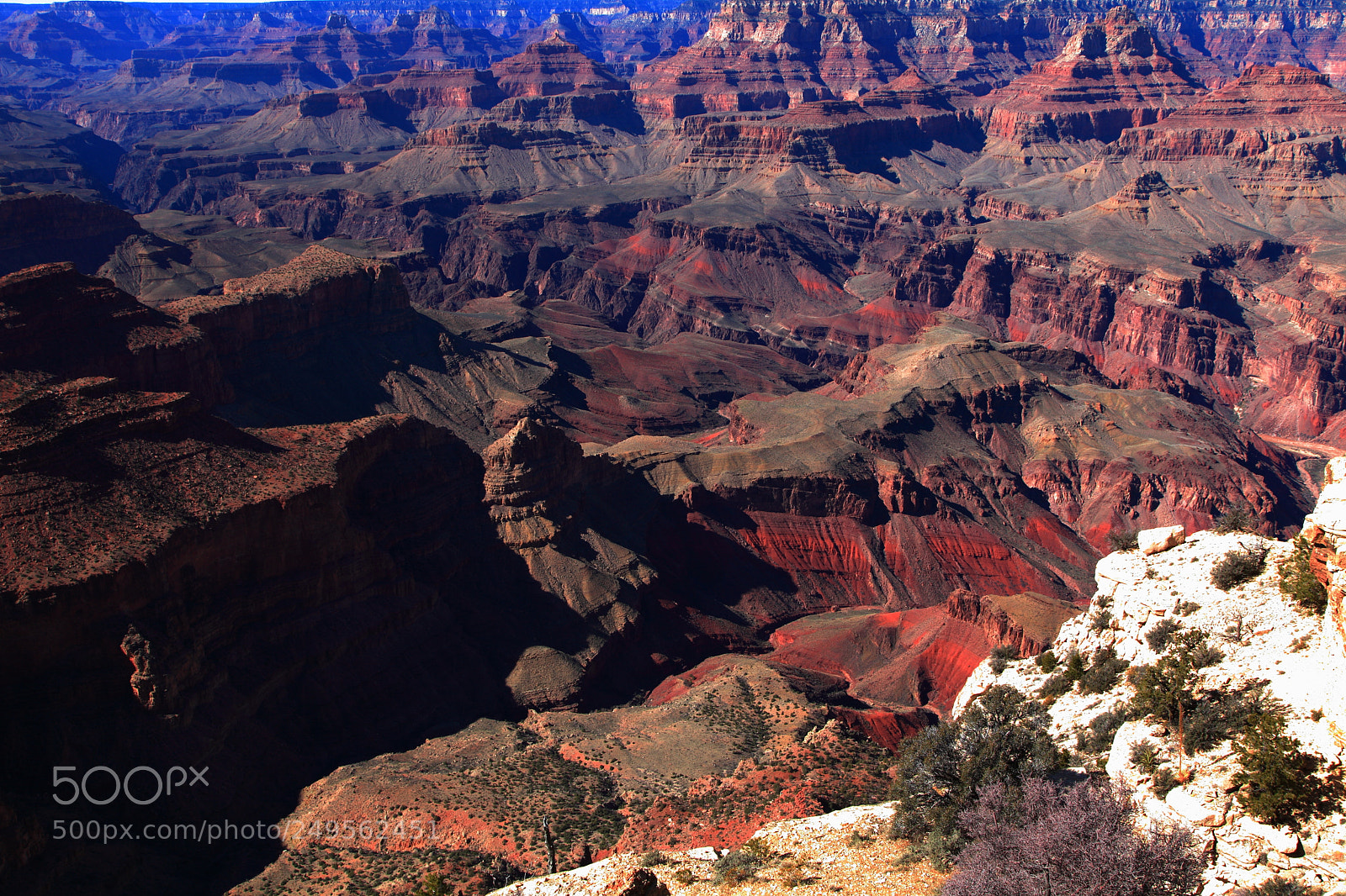 Canon EF 24-105mm F4L IS USM sample photo. Palette调色板 photography