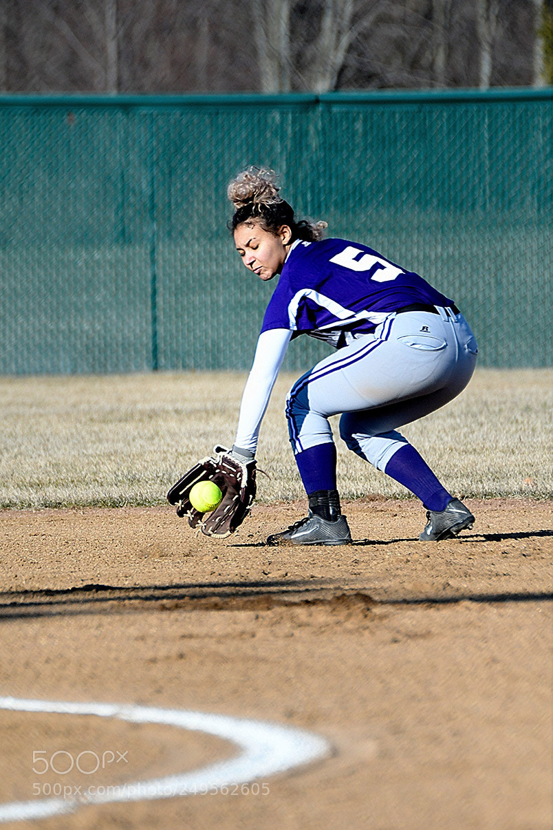 Nikon D500 sample photo. 3-14_0027.jpg photography