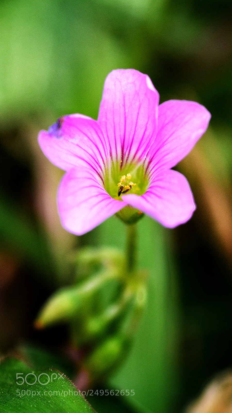 Nikon D7100 sample photo. Untitled photography