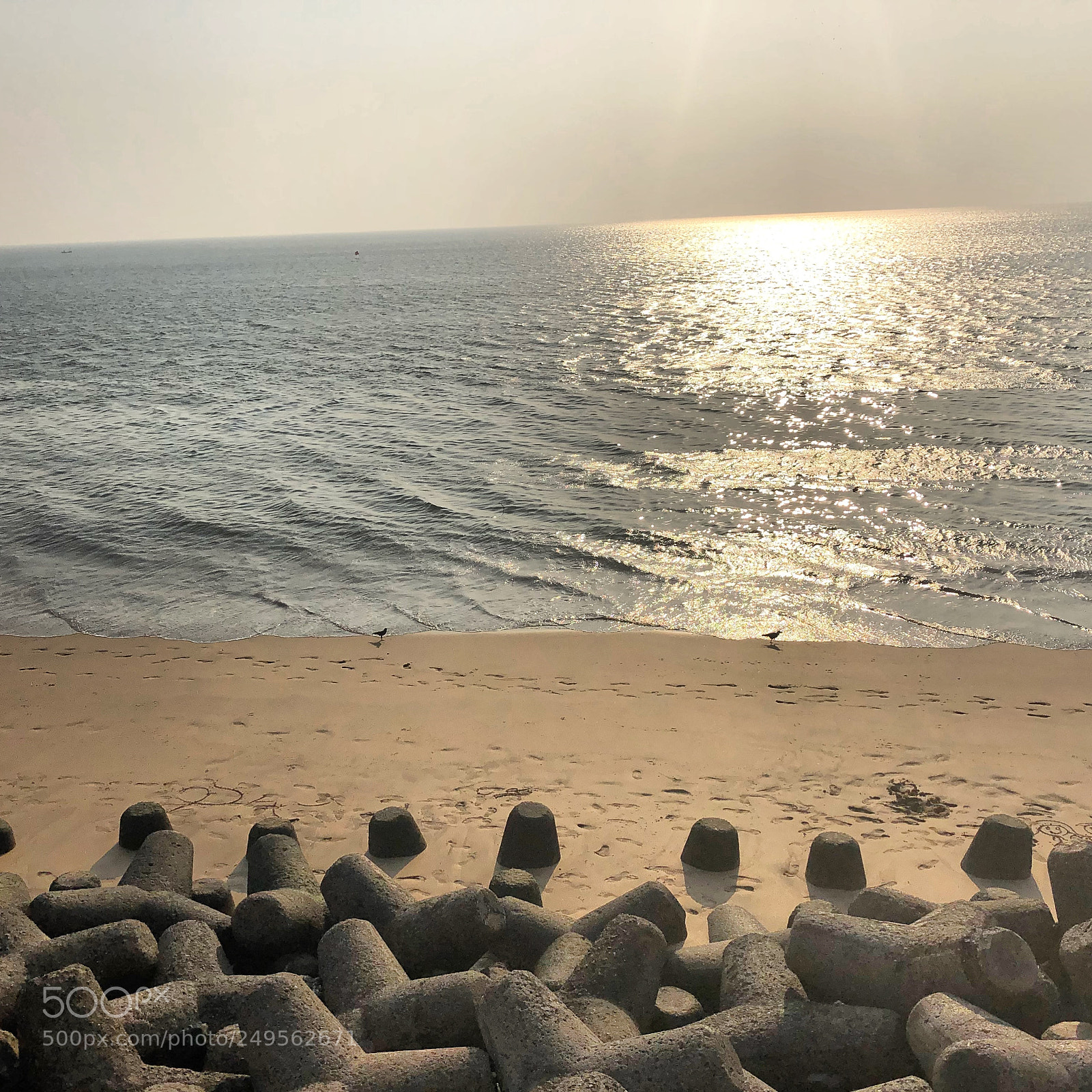 Apple iPhone X sample photo. Sea of tranquility  photography