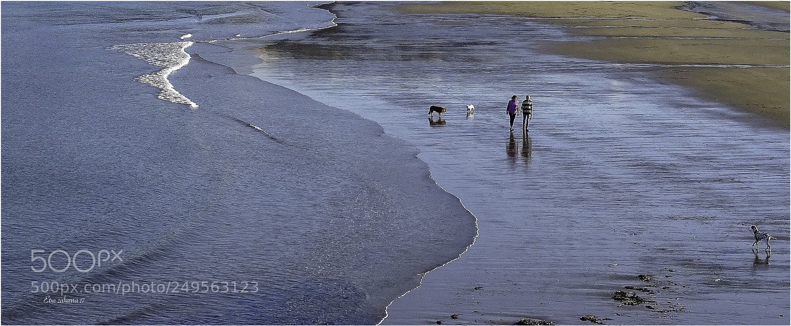 Sony DSC-HX60V sample photo. Paseando por ereaga photography