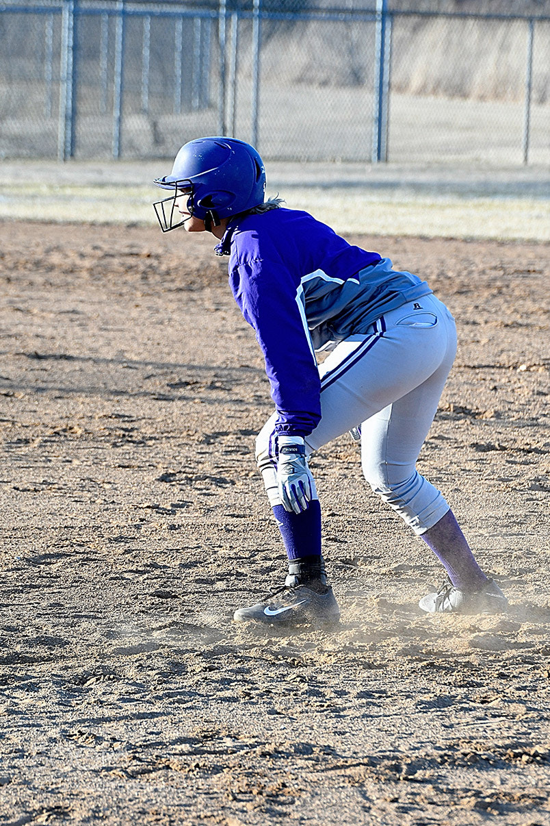 Nikon D500 sample photo. 3-14_0518.jpg photography