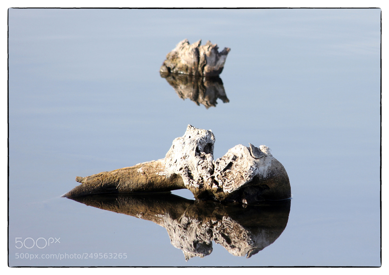 Canon EOS 60D sample photo. * * * photography