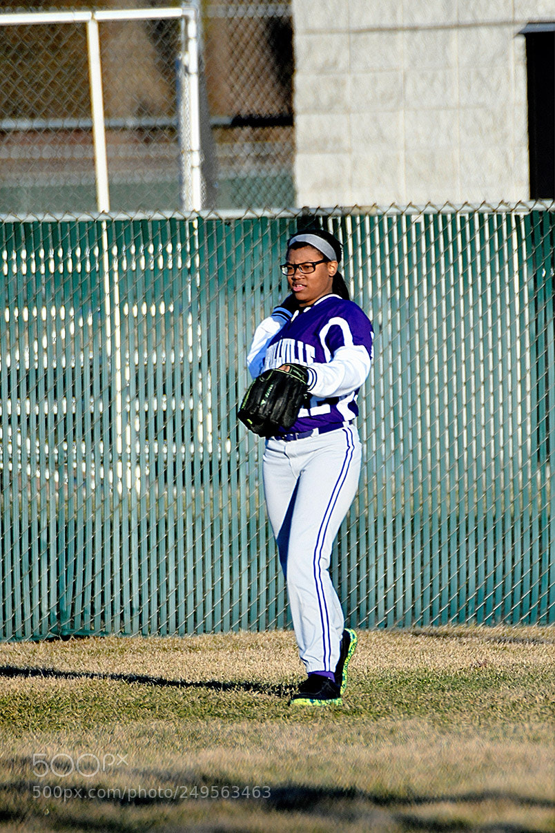 Nikon D500 sample photo. 3-14_0757.jpg photography