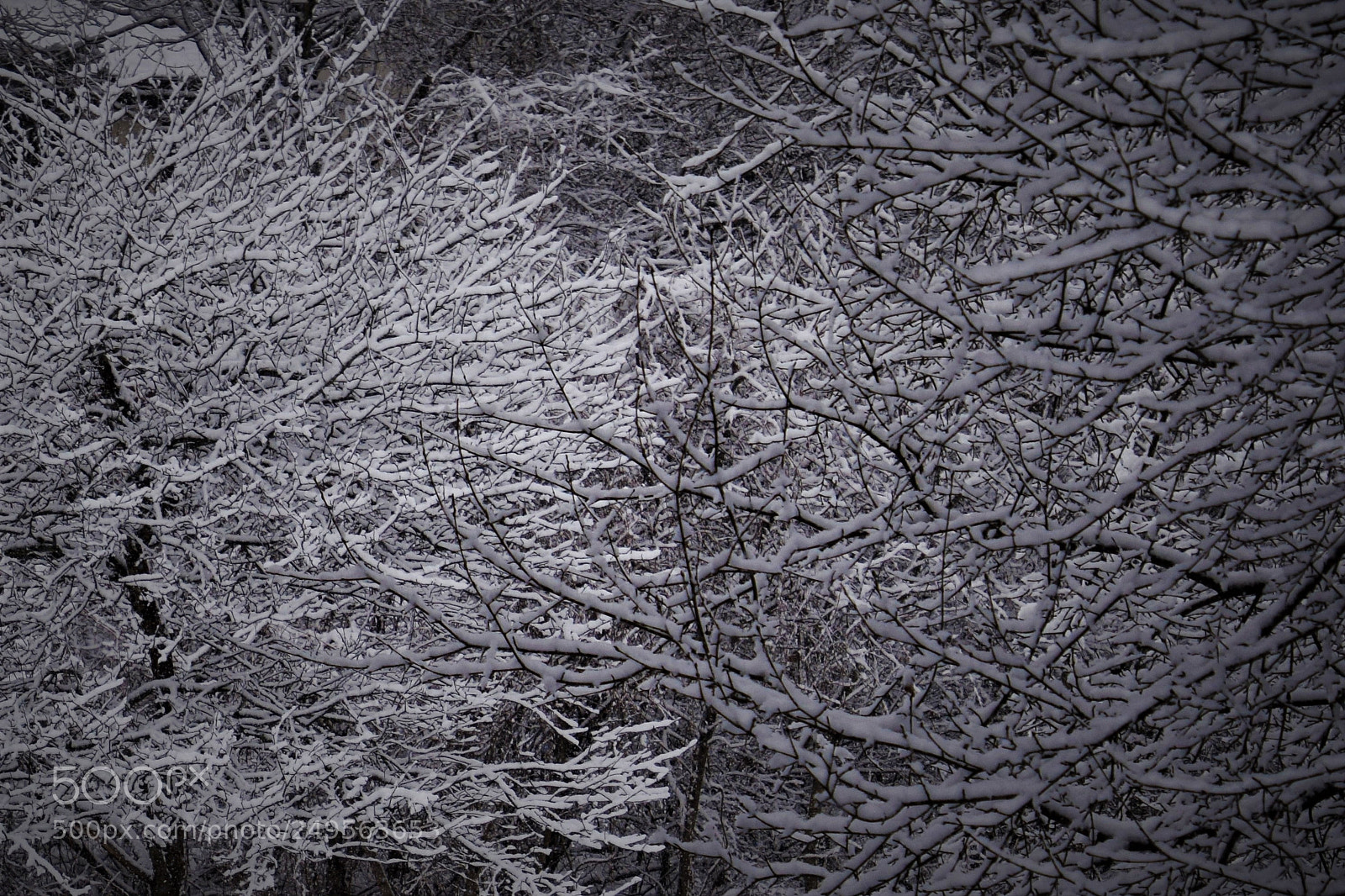Nikon D5300 sample photo. Mixed. photography