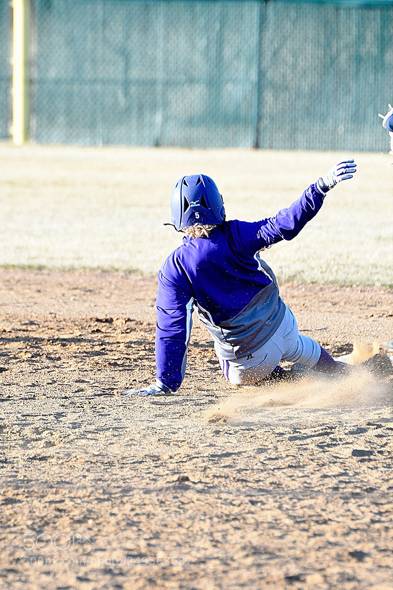 Nikon D500 sample photo. 3-14_0527.jpg photography