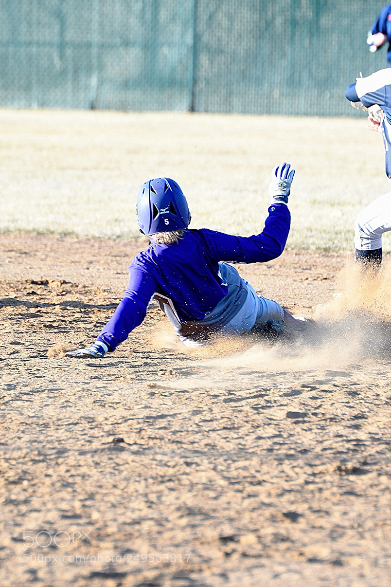 Nikon D500 sample photo. 3-14_0528.jpg photography