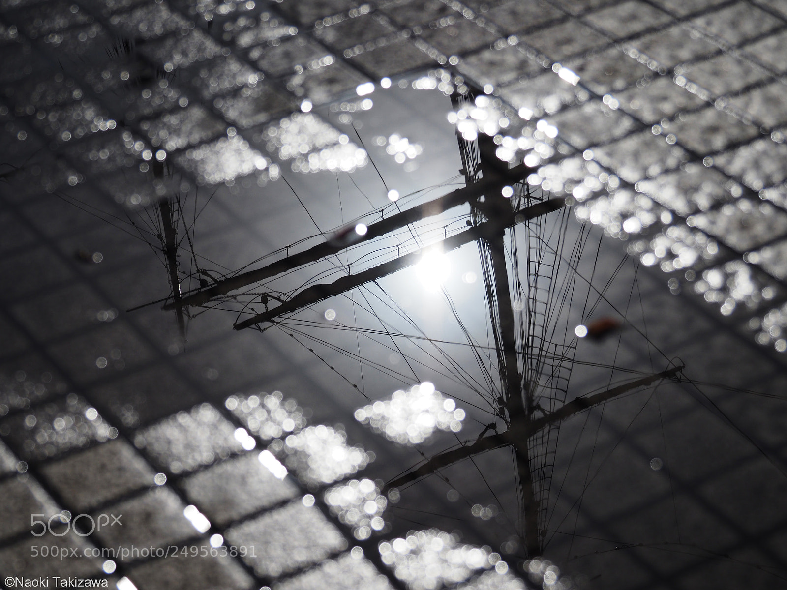Olympus OM-D E-M1 Mark II sample photo. Reflection photography