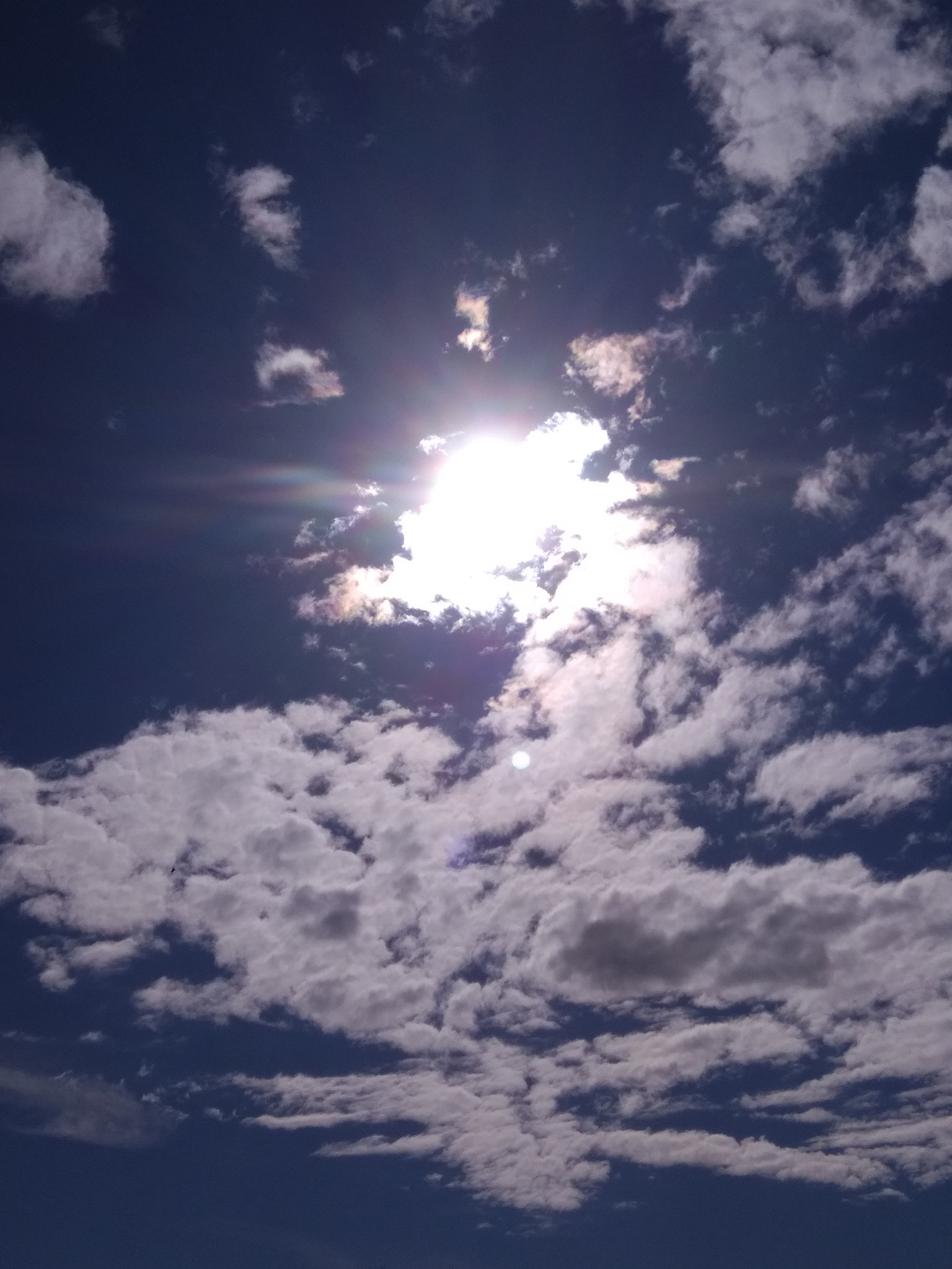 Xiaomi MI MAX sample photo