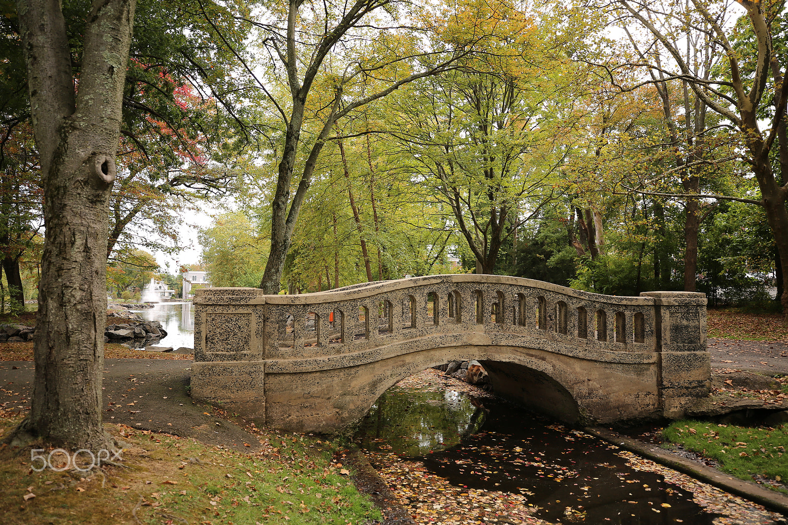 Canon EF 16-35mm F2.8L III USM sample photo. Bridge in fall photography