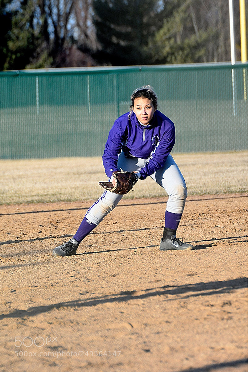 Nikon D500 sample photo. 3-14_0766.jpg photography