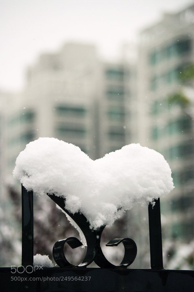 Pentax K20D sample photo. Snow heart photography