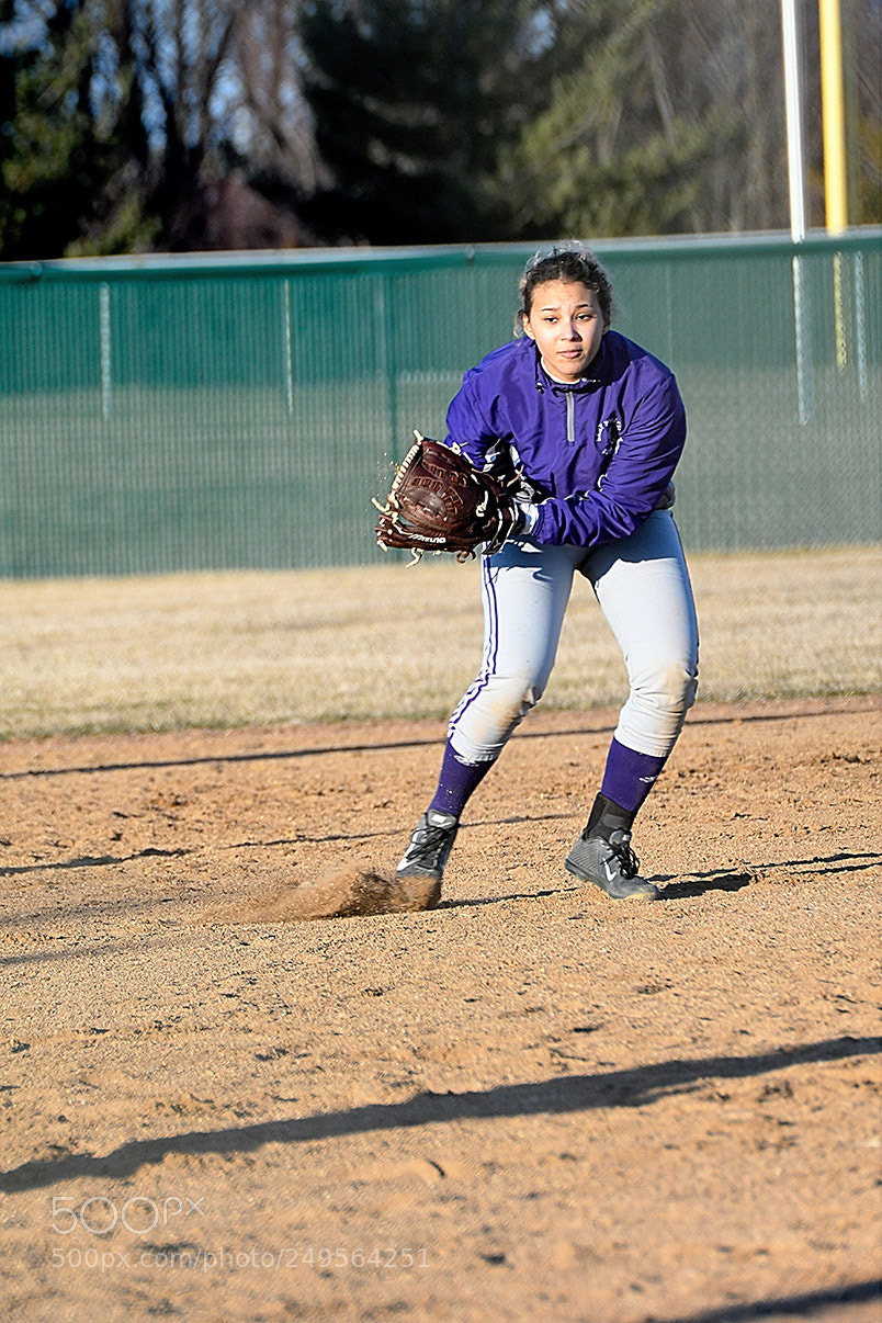 Nikon D500 sample photo. 3-14_0767.jpg photography