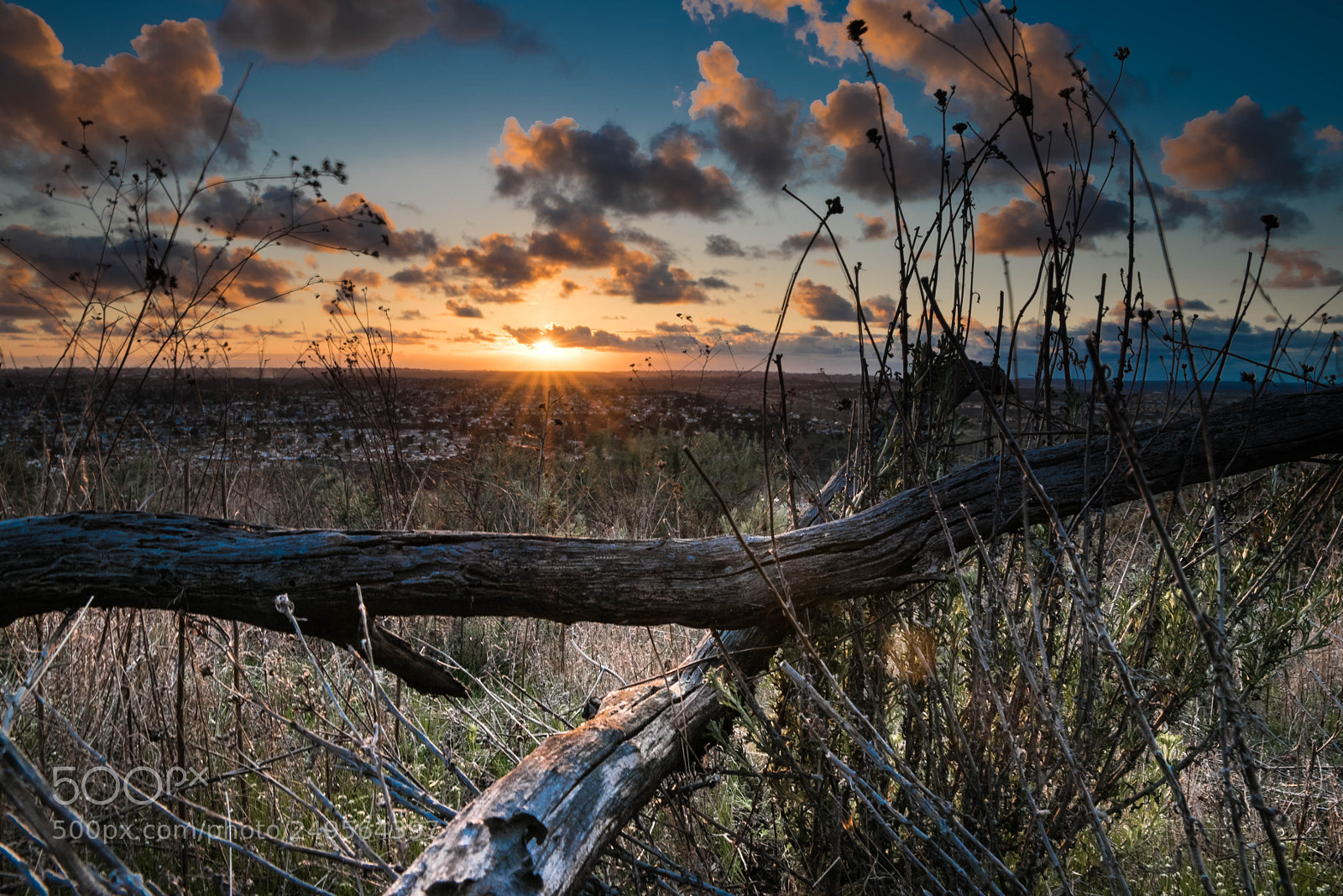 Nikon D810 sample photo. Sd sunset photography