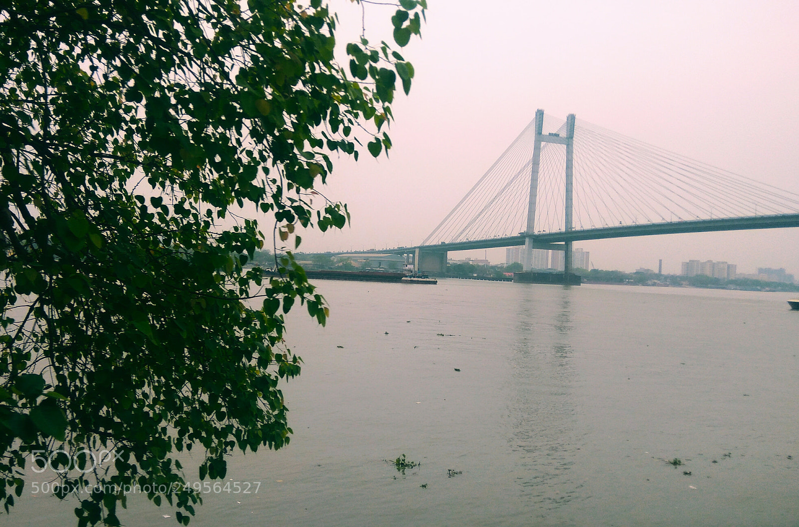 Xiaomi Redmi Note3 sample photo. Green leaves photography